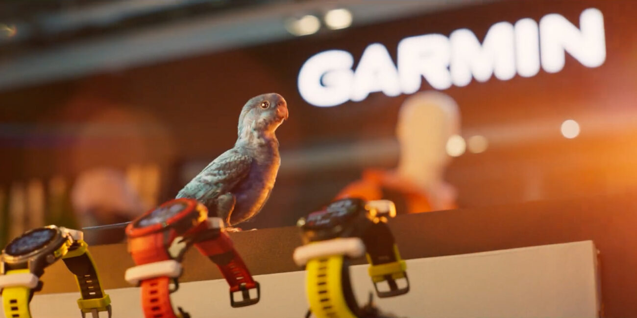 Go Outdoors Billy The Bird Dancing Bird Commercial Director