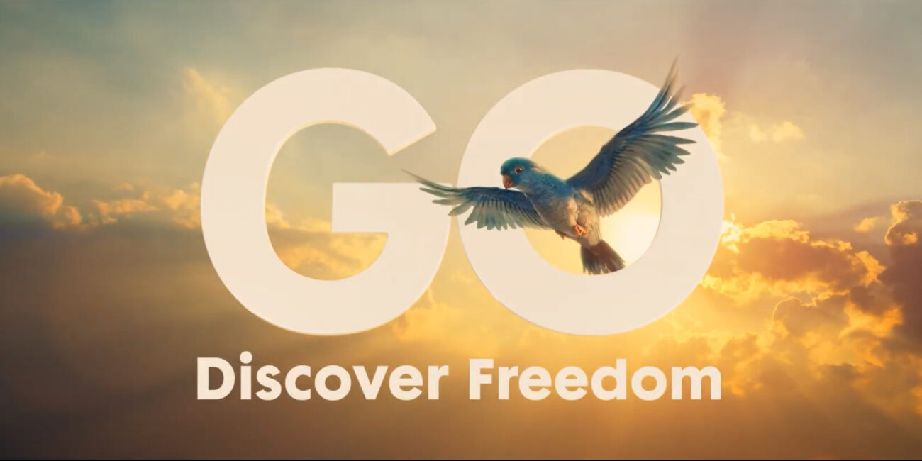 Go Outdoors Billy The Bird Dancing Bird Commercial Director