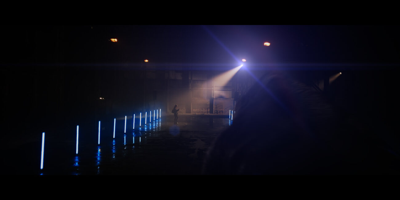 Mechanimals Commercial. VFX animal director