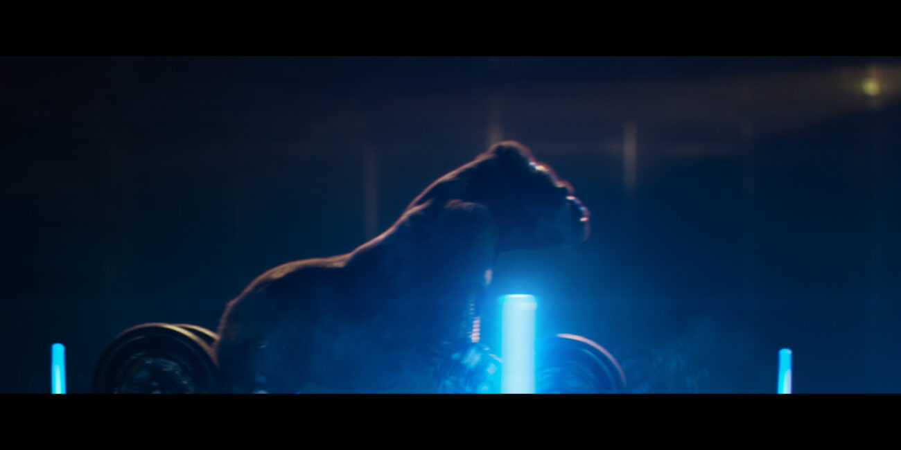 Mechanimals Commercial. VFX animal director